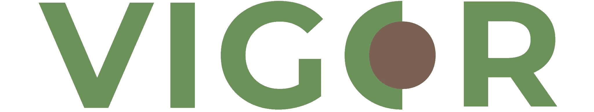 Vigor Logo